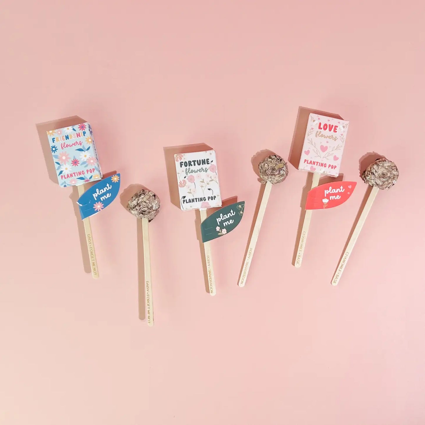 Garden+Gift Seed Planting Pop