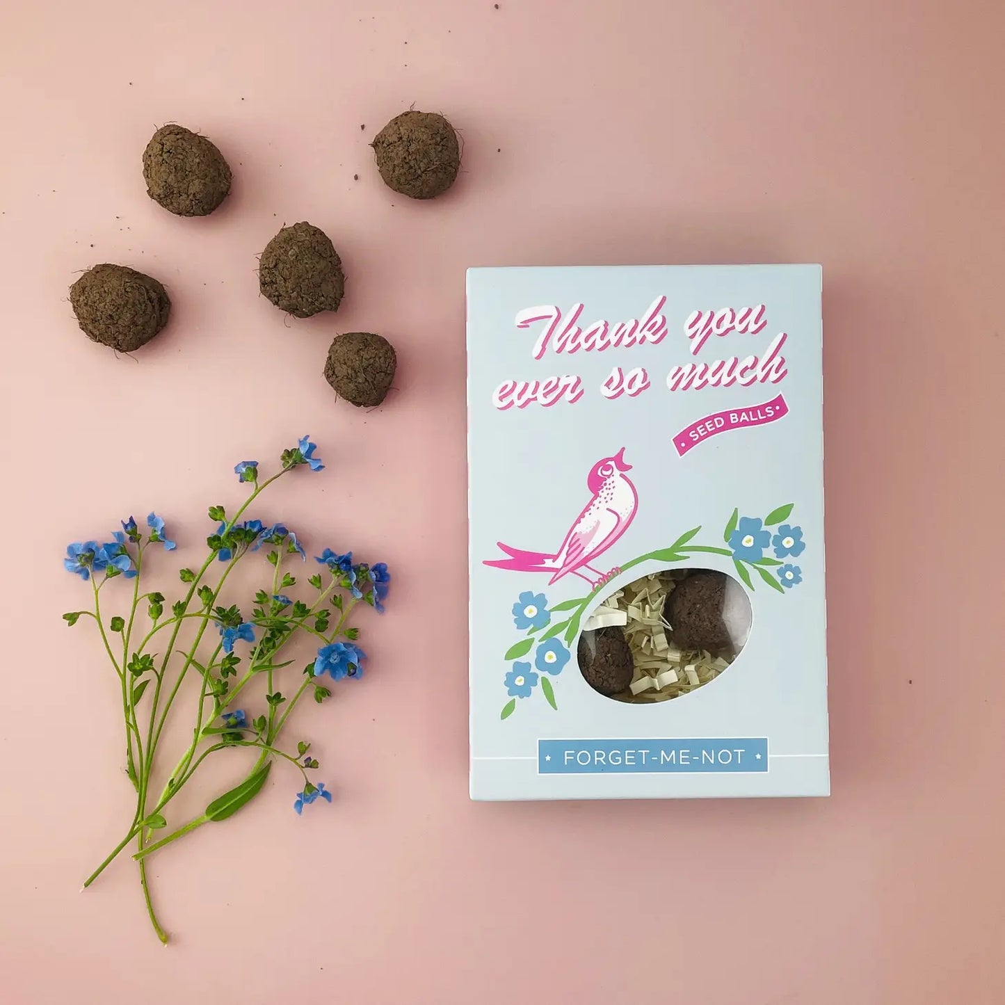 Garden Seed Ball Gift Box