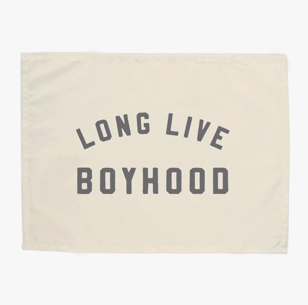 Long Live Boyhood Mini Banner