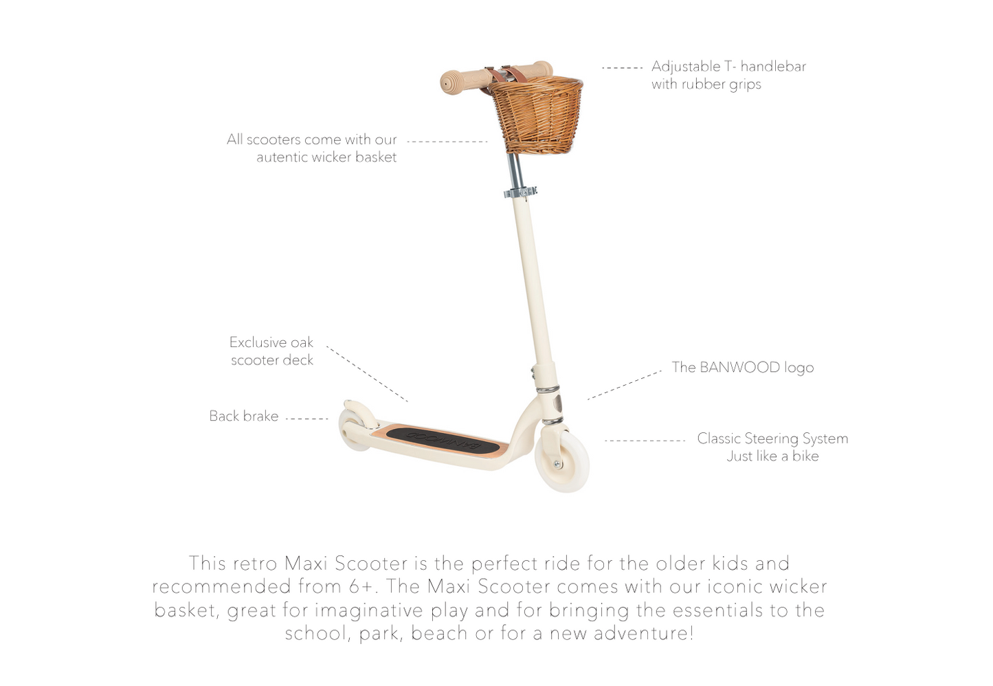 PRE-ORDER: Maxi Scooter