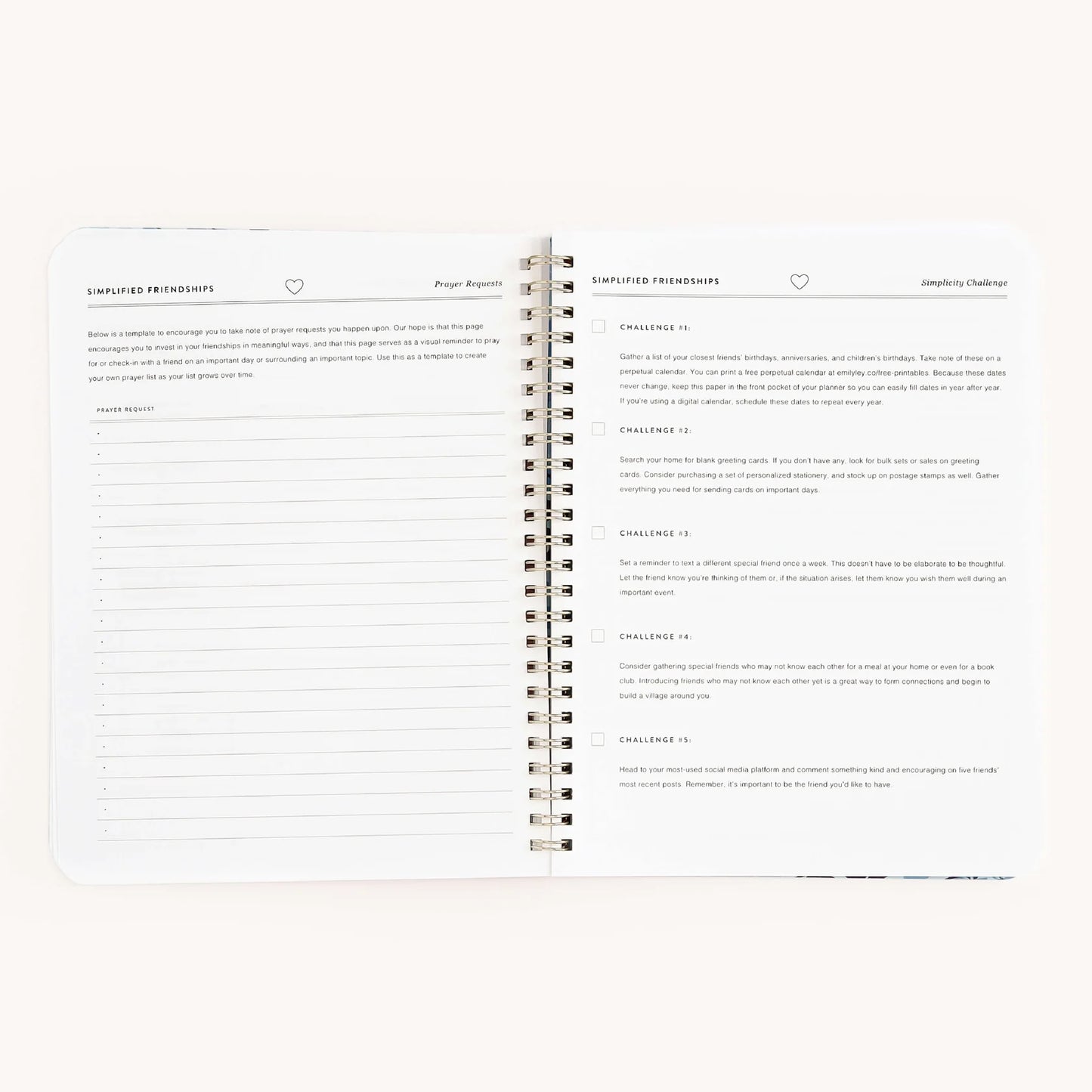 Friendship Workbook