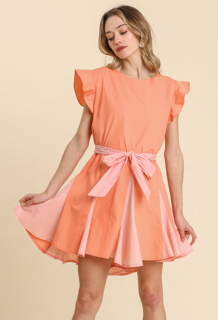 Colorblocked Ruffle Sleeve Dress